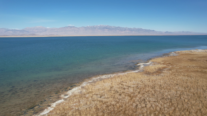 青海小柴旦湖碧绿色湖泊美景